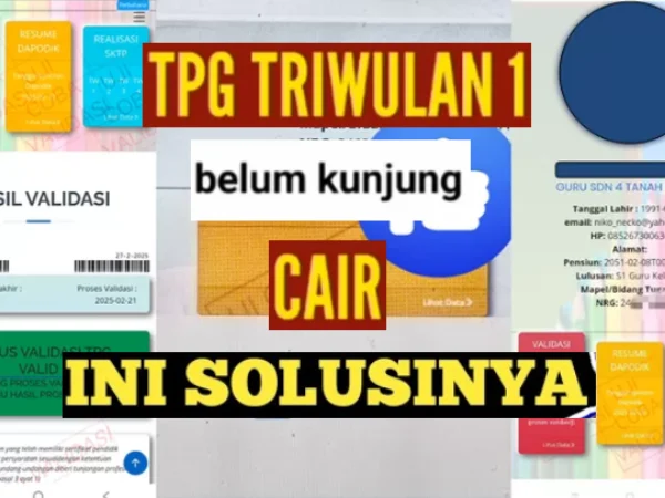Ini Solusi TPG TW1 2025 yang Belum Cair di Info GTK