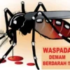 Ilustrasi DBD di Bandung Barat/Foto: Istimewa/