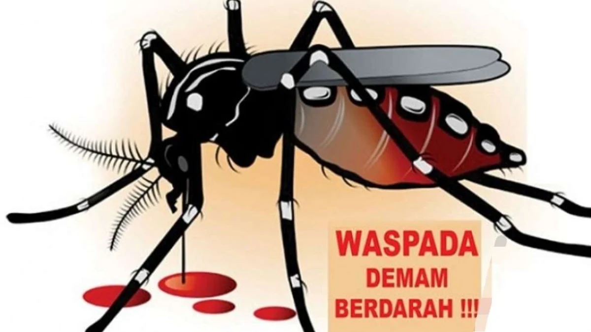 Ilustrasi DBD di Bandung Barat/Foto: Istimewa/