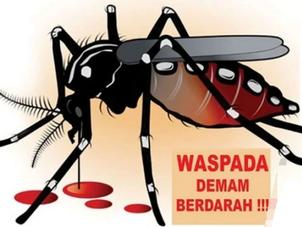 Ilustrasi DBD di Bandung Barat/Foto: Istimewa/