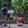 Pengunjung melihat koleksi binatang di Kebun Binatang Kota Bandung. Foto: Dimas Rachmatsyah