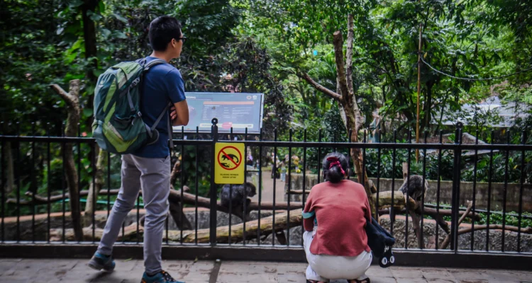 Pengunjung melihat koleksi binatang di Kebun Binatang Kota Bandung. Foto: Dimas Rachmatsyah