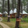 Lokasi wisata dan penginapan di TWGC Campingland Lembang, Bandung Barat. Dok Jabar Ekspres/Suwitno