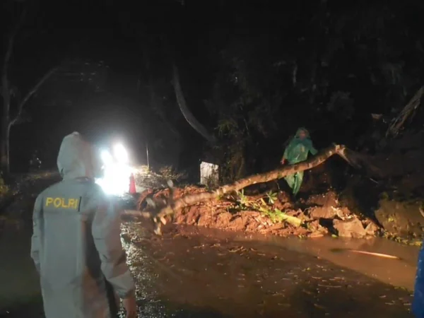 Tebing setinggi 15 meter di Blok Karoya, Desa Sandingtaman, Kecamatan Panjalu, Kabupaten Ciamis, longsor dan menutupi Jalan Panjalu-Kawali, Sabtu (5/4/2025) malam. (Istimewa)