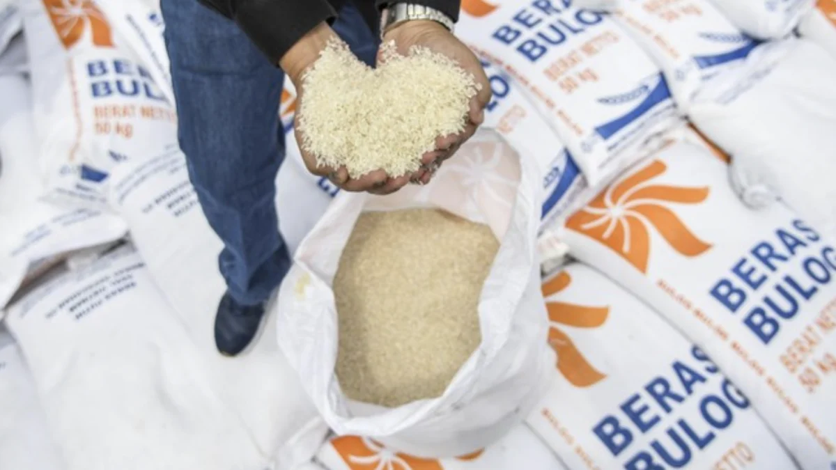 Stok beras nasional di Perum Bulog. (foto/Perum Bulog)