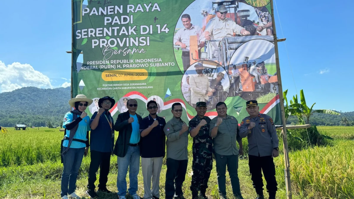 Panen raya serentak di Majalengka.