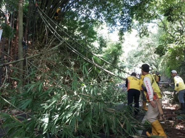 Petugas dibantu warga saat mengevakuasi material rumpun bambu tumbang di Lembang Bandung Barat. Dok Polsek Lembang