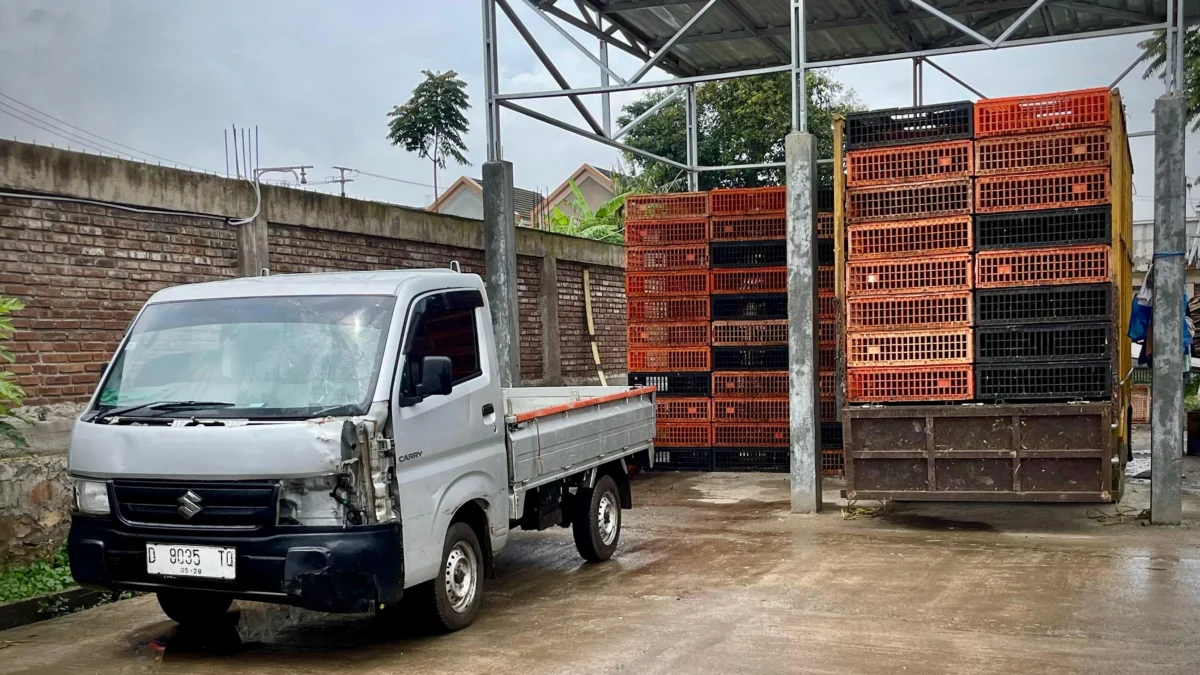 Kondisi RPH ayam di Jalan Cisasawi RT 05/06 dan Kampung Manglayang RT 02/01, Desa Cihanjuang Rahayu, Kecamatan Parongpong, Bandung Barat. Dok Jabar Ekspres/Suwitno