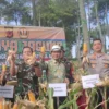 Bupati Bandung Dadang Supriatna sedang melakukan panen raya jagung di Desa Arjasari, Kecamatan Arjasari, Kabupaten Bandung.