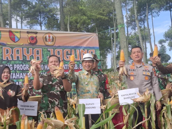 Forkopimda Kabupaten Bandung melaksanakan Panen Raya Jagung, dalam rangka mendorong dan membantu program ketahanan pangan nasional di Desa Arjasari, Kecamatan Arjasari, Kabupaten Bandung, Kamis (24/4/2025). Foto Agi