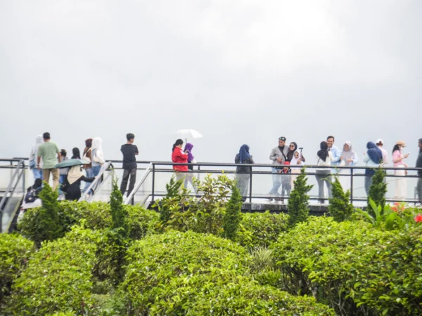 Wisatawan berfoto di wahana kebun teh Nimo Skybridge di objek wisata Nimo Highland, Pangalengan, Kabupaten Bandung, Jum'at (4/4). Foto: Dimas Rachmatsyah / Jabar Ekspres