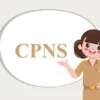 Catat Jadwal Pendaftaran CPNS 2025 Lengkap dengan Syarat dan Dokumennya